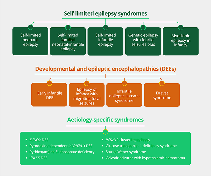 Classifying Neonatal And Infant Epilepsy Syndromes Epilepsy Resources For Healthcare